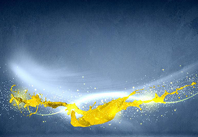 2023 Building waterproof and thermal insulation paint exchange meeting held in Changsha